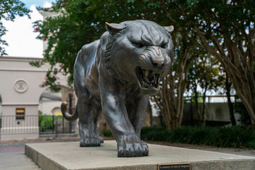 What LSU's Jay Johnson Said About His Team's Struggles — A Masterclass in Coaching Accountability - Ep. 167